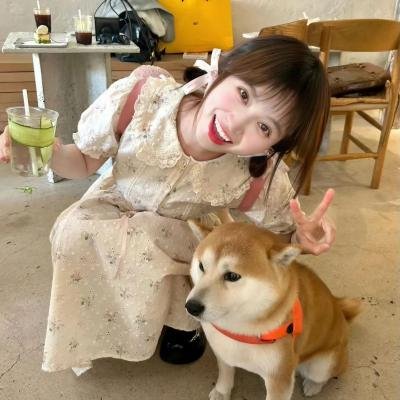 栗色伊拉克